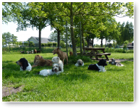 Bijkomen in de schaduw met z'n allen.