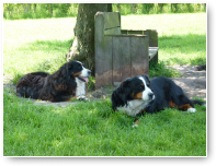 De vriendinnen Amanta en Daisy