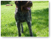 Floris!